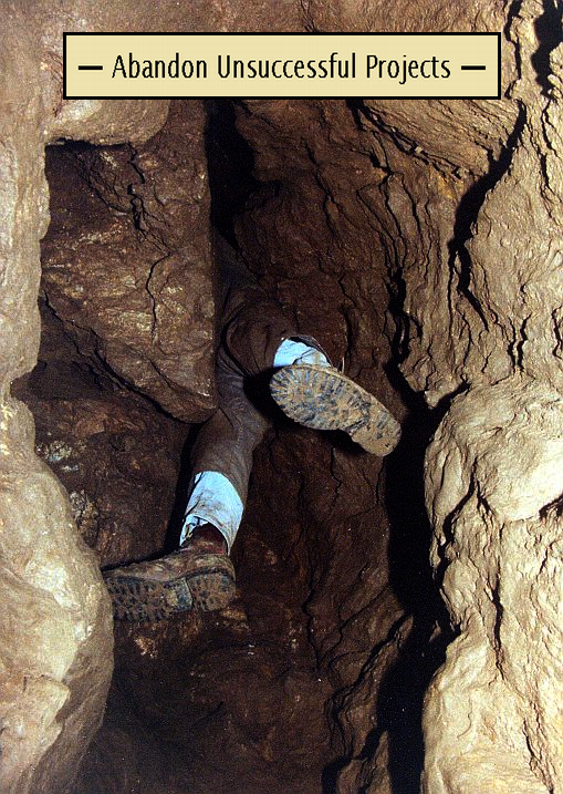 Abandon Unsuccessful Projects